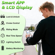 Foldable Electric Scooter for Adults