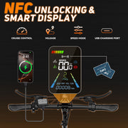 Dual Motor All-Terrain Electric Scooter