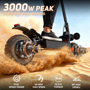 Dual Motor All-Terrain Electric Scooter