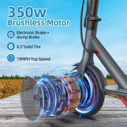 Electric Scooter with Seat for Adults