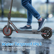 Electric Scooter with Seat for Adults